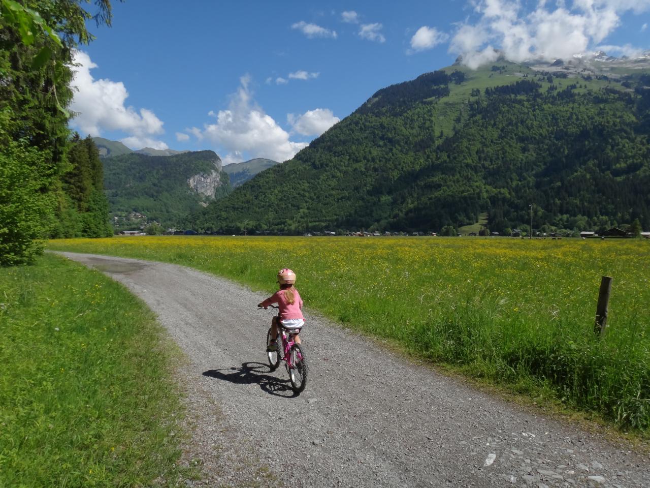 VTT Tranquille dans la plaine des vallons (Samoëns)